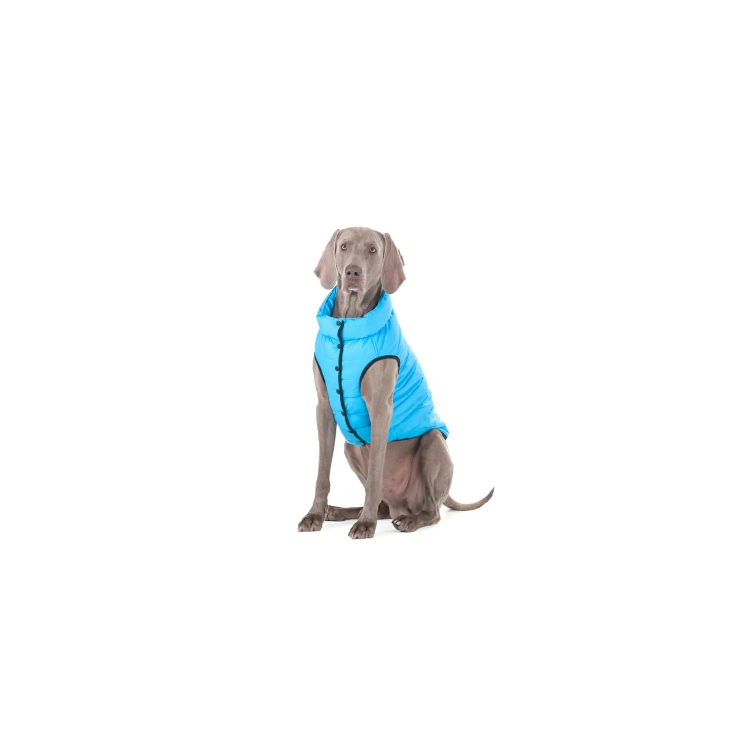 WAUDOG AIRY VEST ONE JACKET BLUE