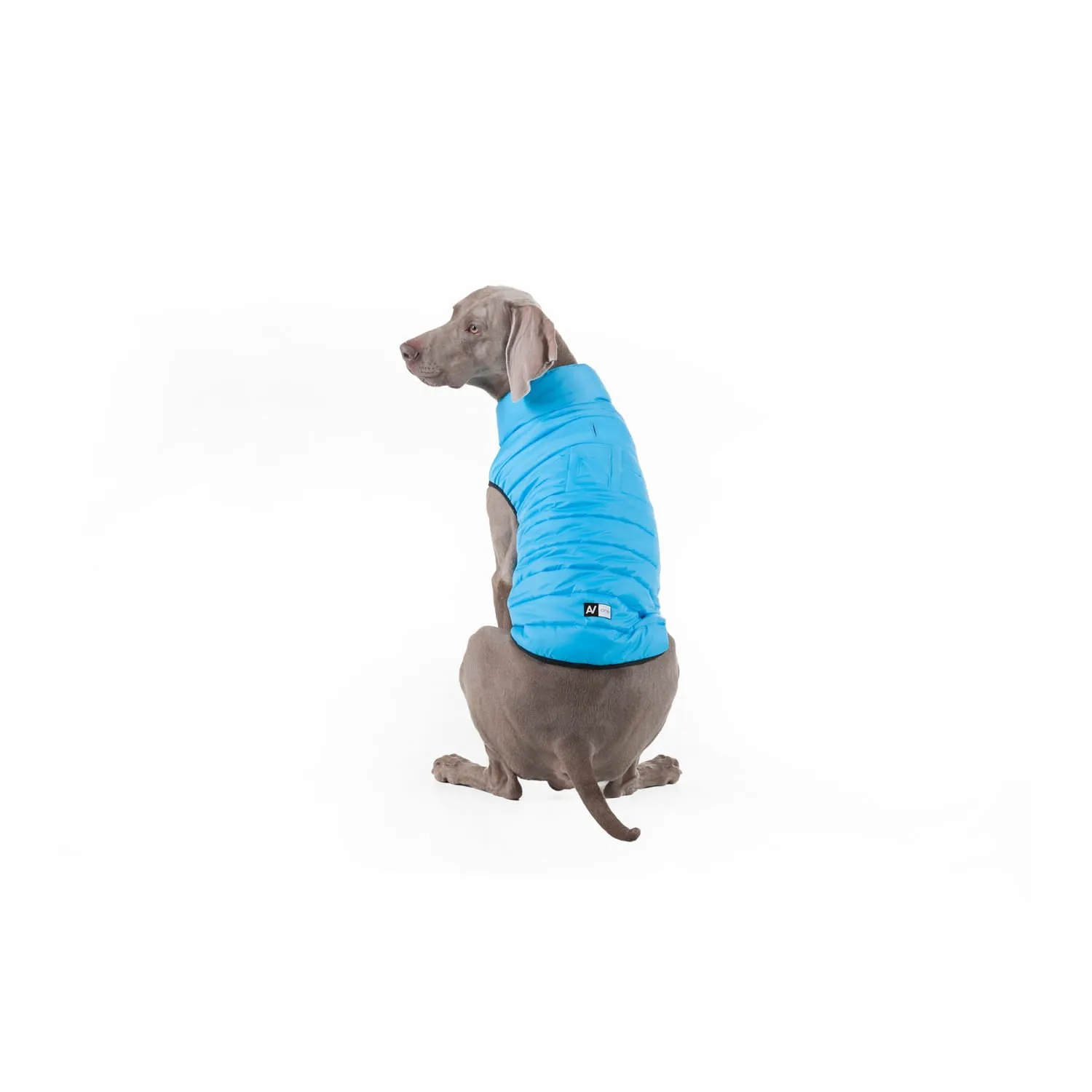 WAUDOG AIRY VEST ONE JACKET BLUE