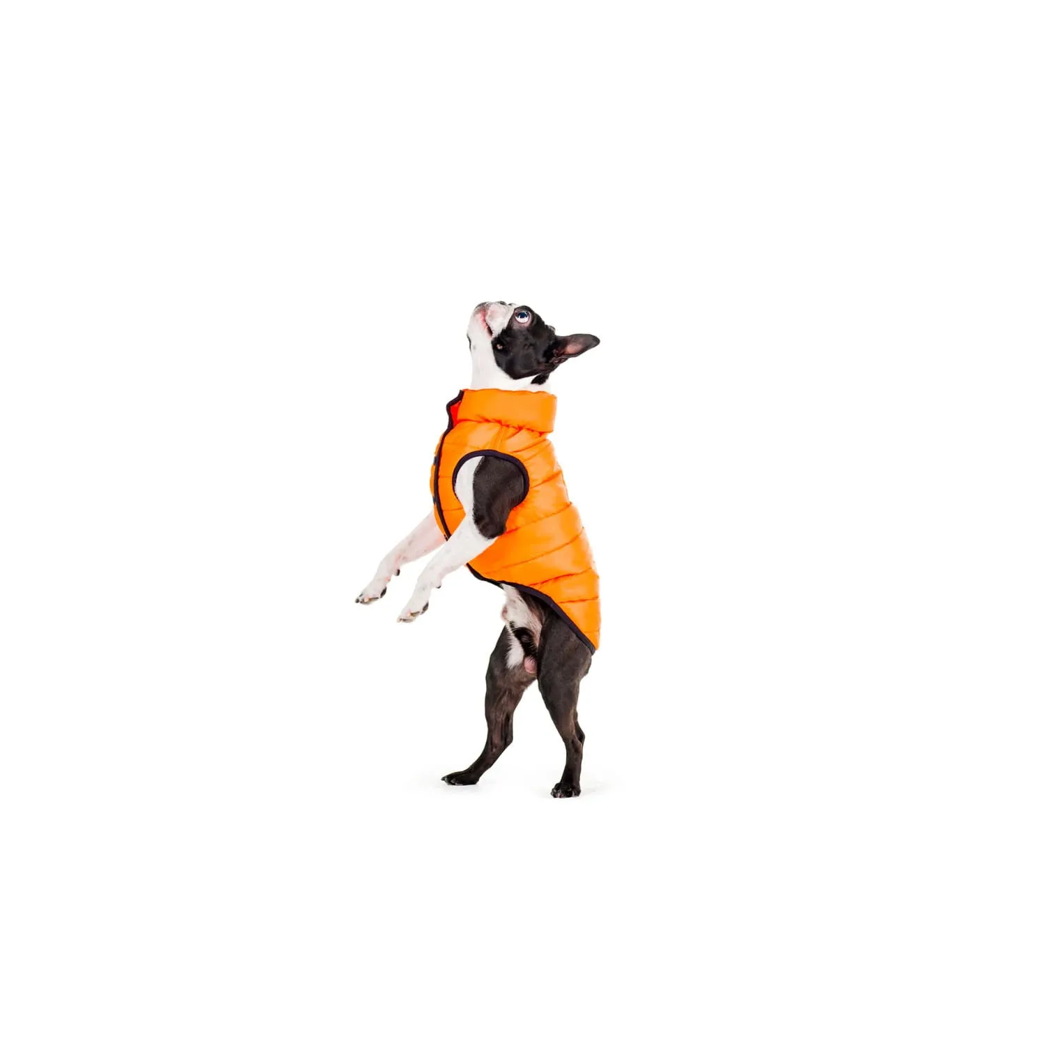 WAUDOG AIRY VEST ONE JACKET BLUE